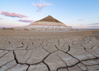 photo_2025-04-23_11-40-41