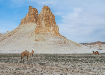 photo_2025-04-26_15-18-27