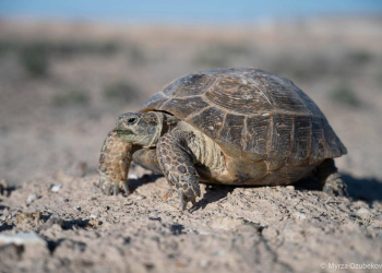 photo_2025-04-29_11-23-45