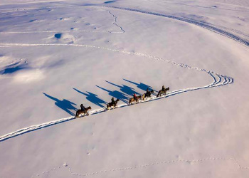 Winter Songkol by horseback riding