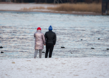 Birds-aroudn-IK-1-of-1-10