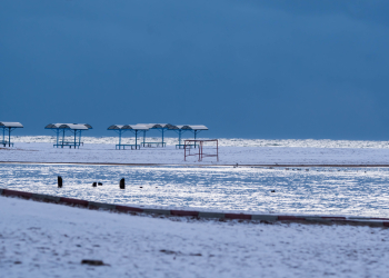 Birds-aroudn-IK-1-of-1-9