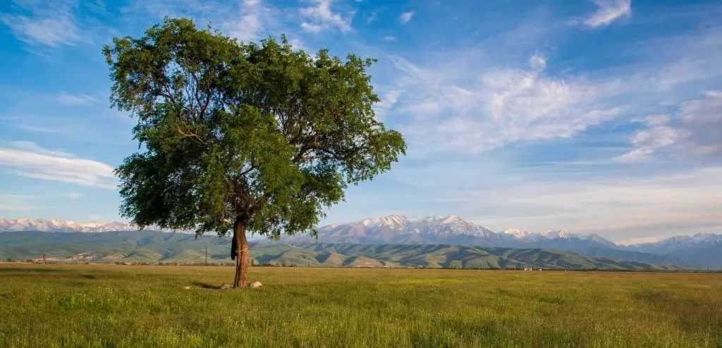 Chui Valley Kara Balta