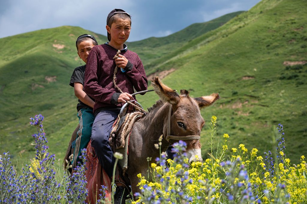 Donkey riders