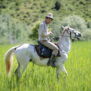 Horseman