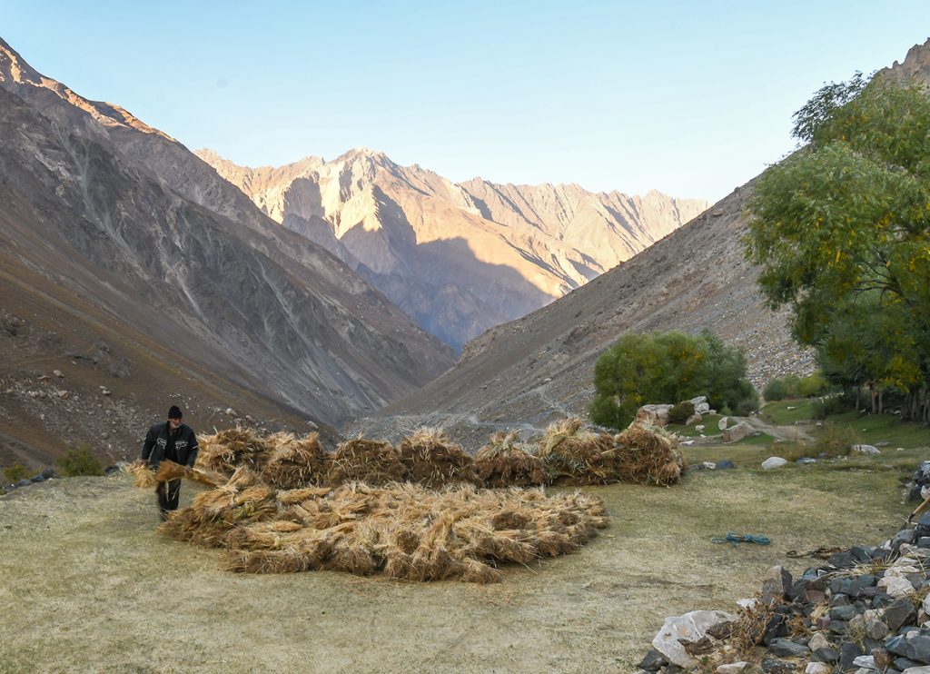 Pamir-Bauer