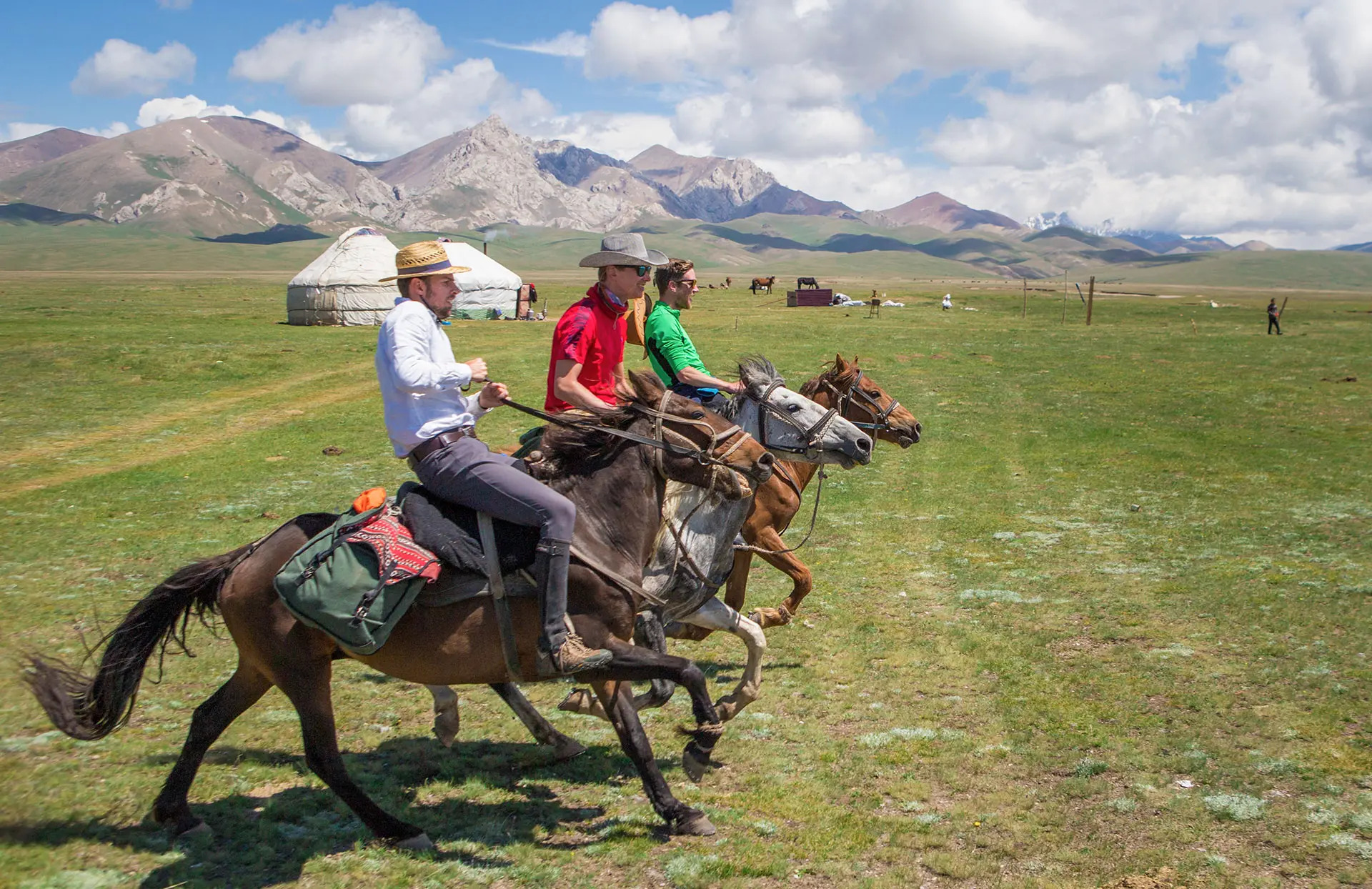 Horse trek