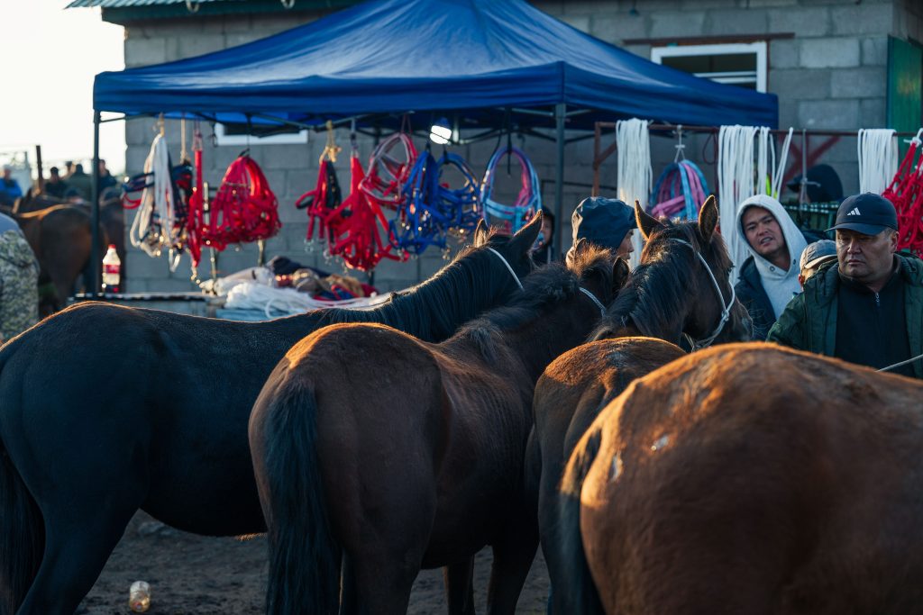 karakol animal market