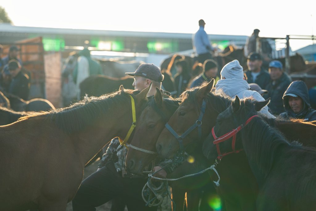 karakol animal market