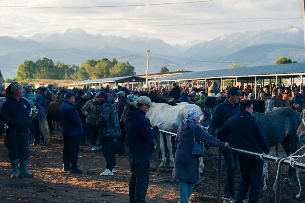 karakol animal market