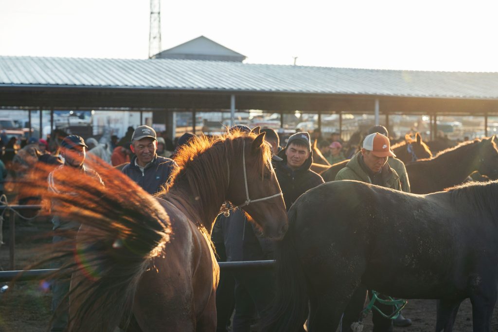 karakol animal market