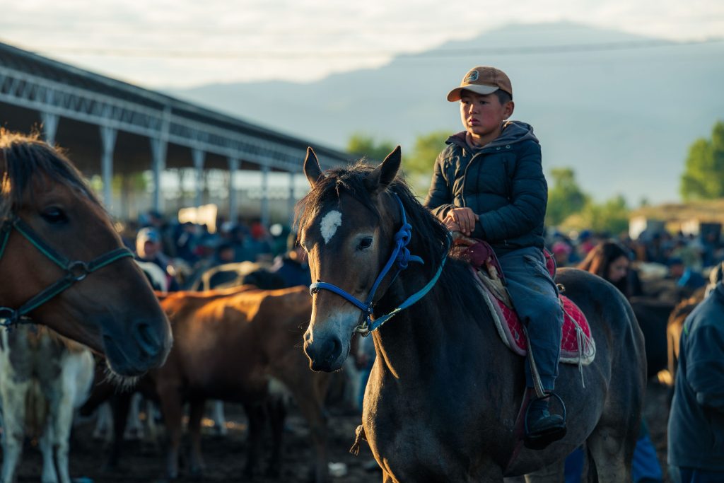 karakol animal market