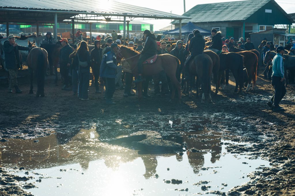 karakol animal market
