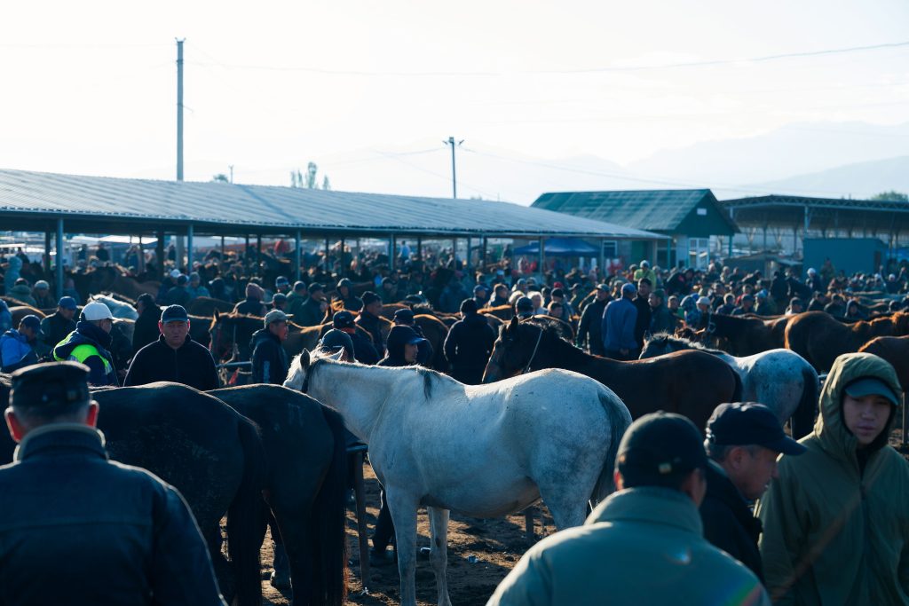 karakol animal market