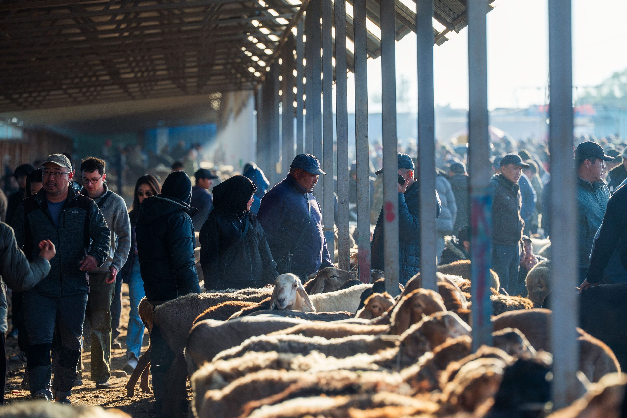 Karakol animal market